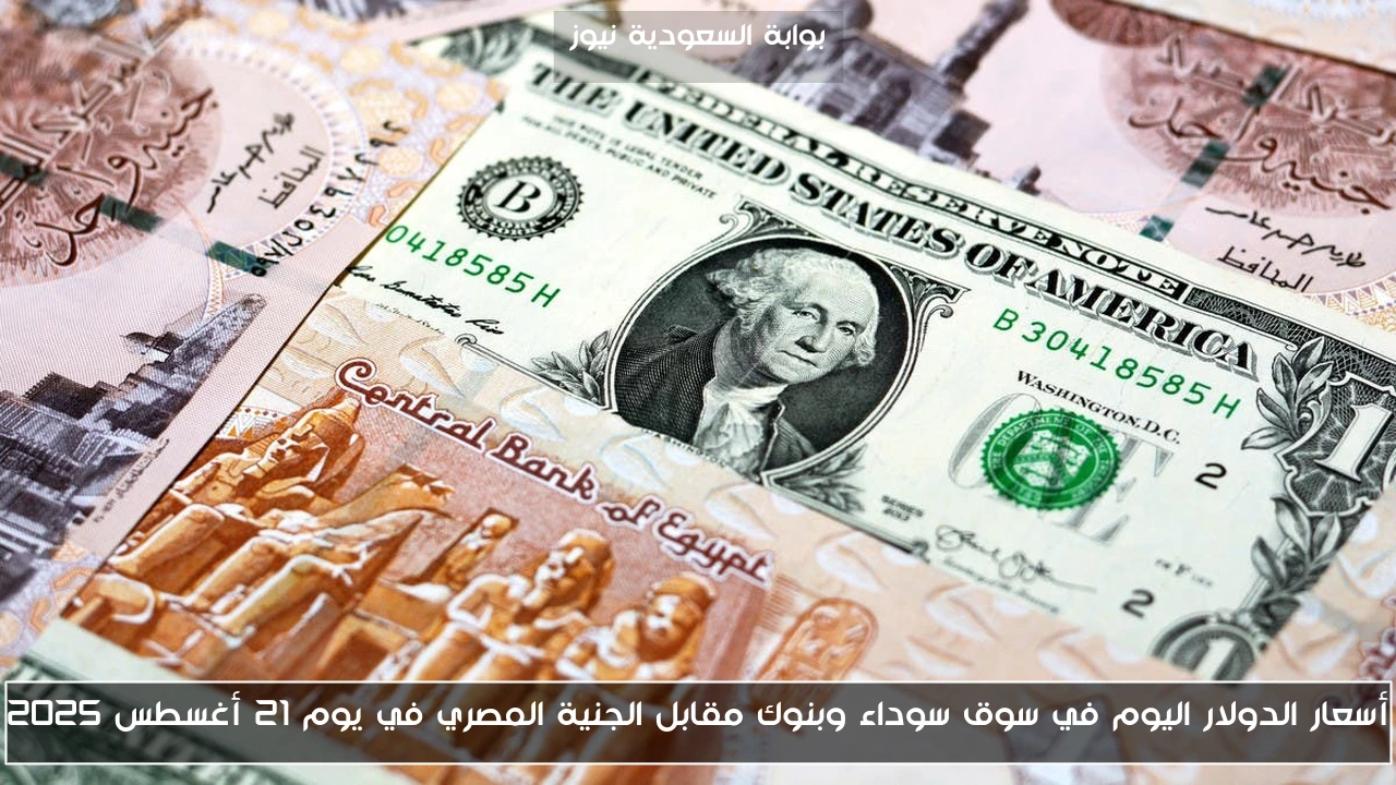 أسعار الدولار اليوم في سوق سوداء وبنوك مقابل الجنية المصري في يوم 21 أغسطس 2025