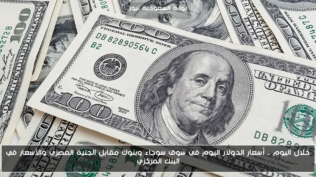 خلال اليوم…. أسعار الدولار اليوم في سوق سوداء وبنوك مقابل الجنية المصري والأسعار في البنك المركزي