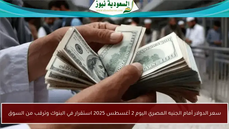 سعر الدولار أمام الجنيه المصري اليوم 2 أغسطس 2025 استقرار في البنوك وترقب من السوق