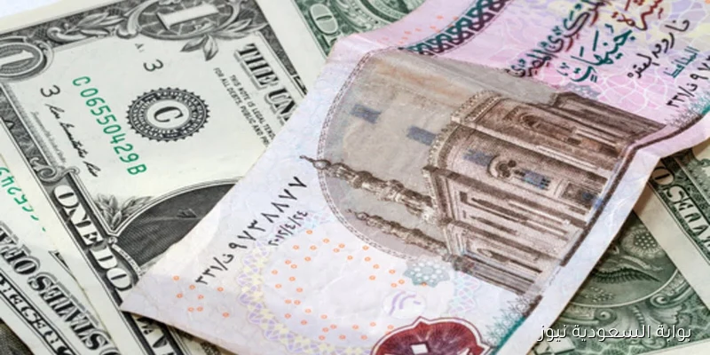 الأمريكي بكام؟.. سعر الدولار الآن مقابل الجنية المصري اليوم السبت 30/8/2025 في البنوك والسوق المصرفية