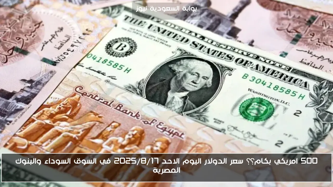 500 امريكي بكام؟؟ سعر الدولار اليوم الاحد 2025/8/17 في السوق السوداء والبنوك المصرية