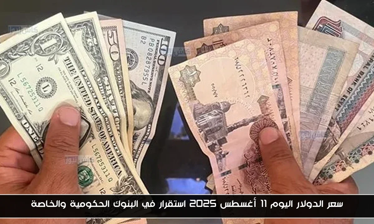 سعر الدولار اليوم 11 أغسطس 2025 استقرار في البنوك الحكومية والخاصة
