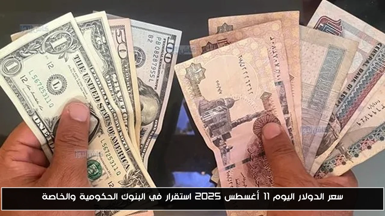 سعر الدولار اليوم 11 أغسطس 2025 استقرار في البنوك الحكومية والخاصة
