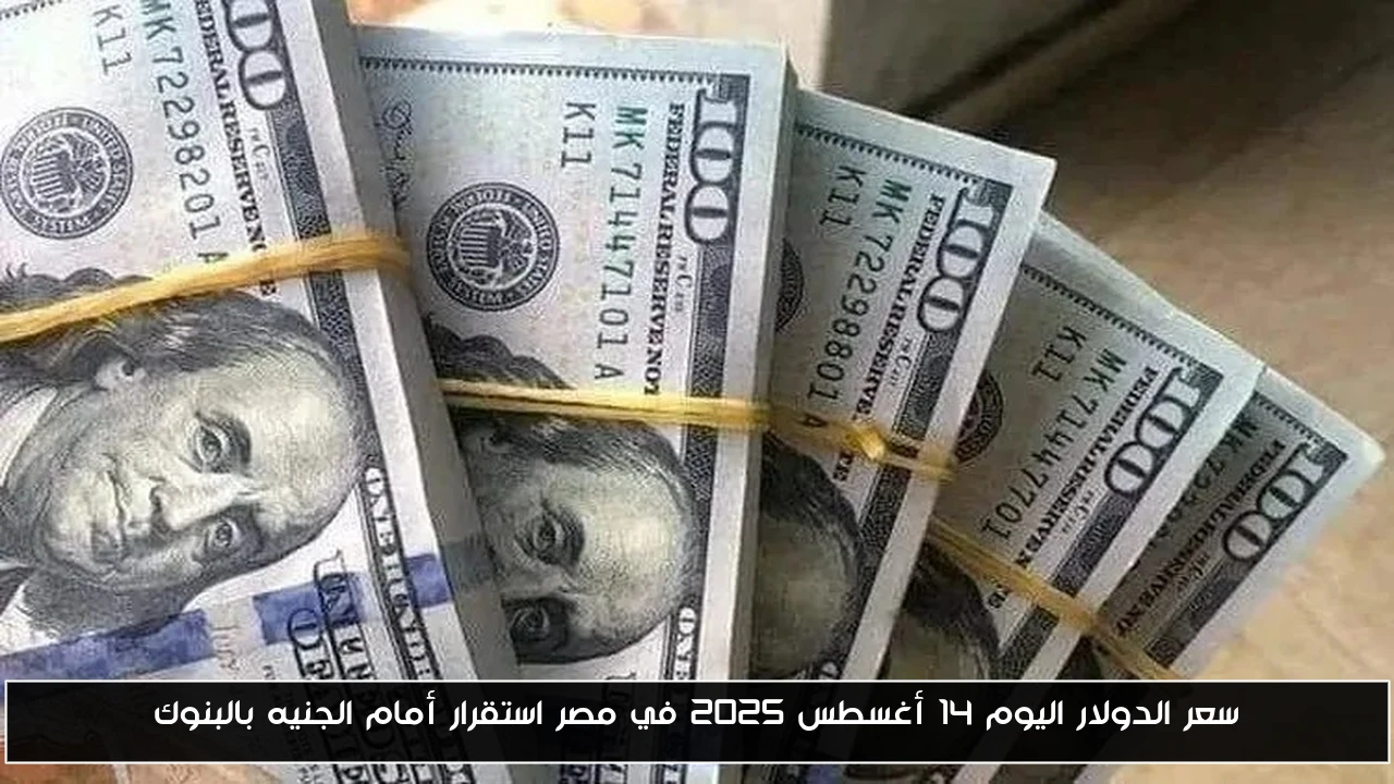سعر الدولار اليوم 14 أغسطس 2025 في مصر استقرار أمام الجنيه بالبنوك