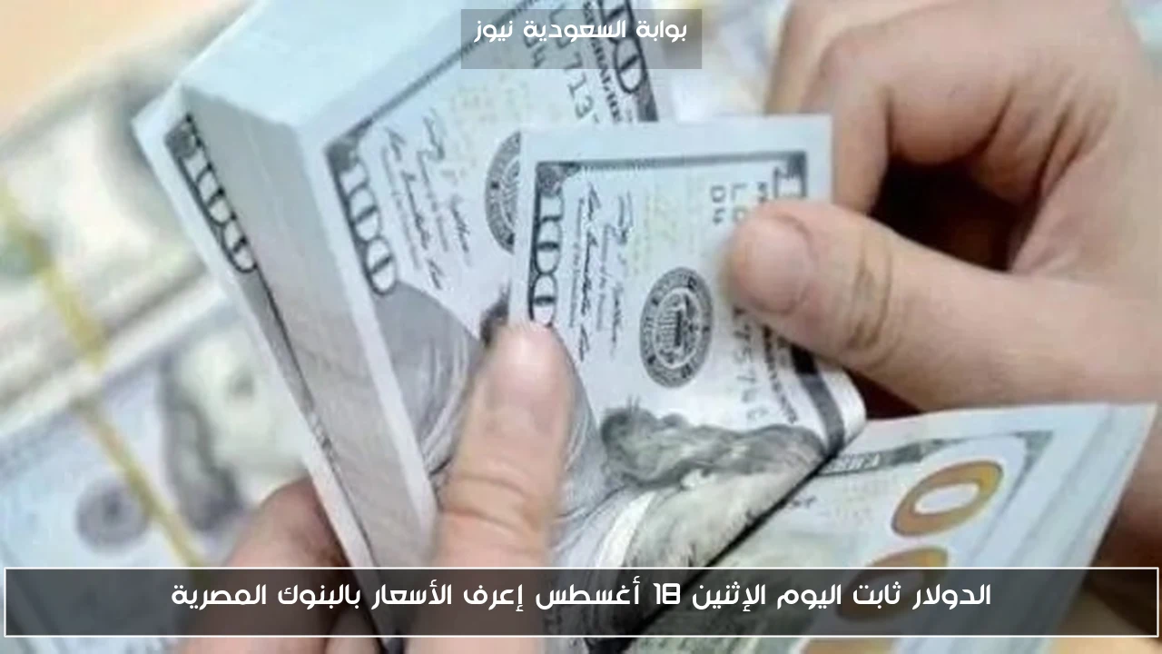 الدولار ثابت اليوم الإثنين 18 أغسطس إعرف الأسعار بالبنوك المصرية