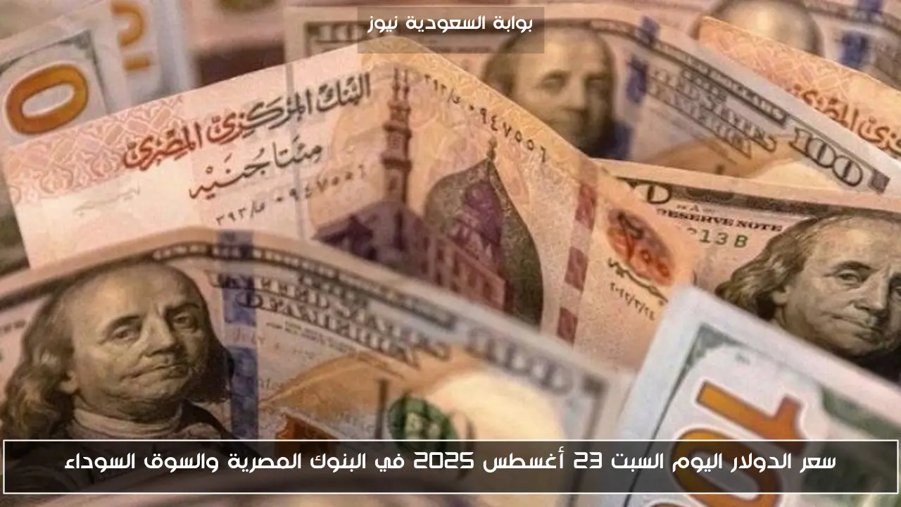 سعر الدولار اليوم السبت 23 أغسطس 2025 في البنوك المصرية والسوق السوداء