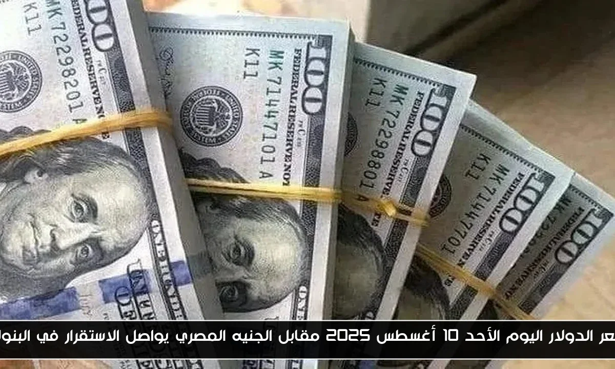 سعر الدولار اليوم الأحد 10 أغسطس 2025 مقابل الجنيه المصري يواصل الاستقرار في البنوك