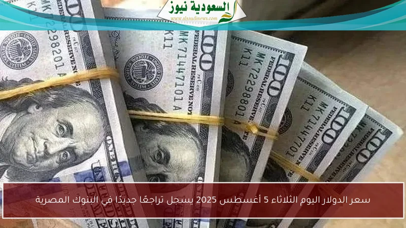 سعر الدولار اليوم الثلاثاء 5 أغسطس 2025 يسجل تراجعًا جديدًا في البنوك المصرية