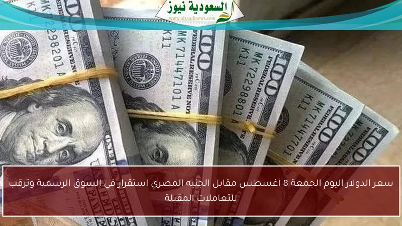 سعر الدولار اليوم الجمعة 8 أغسطس مقابل الجنيه المصري استقرار في السوق الرسمية وترقب للتعاملات المقبلة