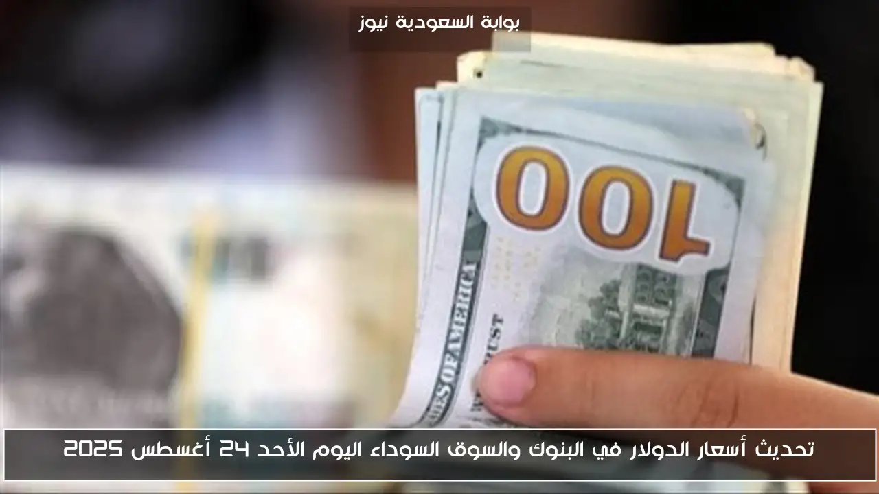 تحديث أسعار الدولار في البنوك والسوق السوداء اليوم الأحد 24 أغسطس 2025
