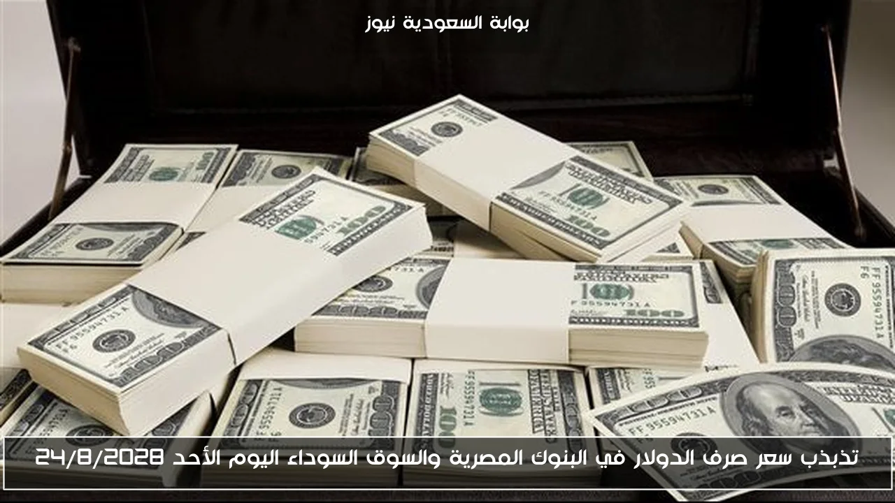 تذبذب سعر صرف الدولار في البنوك المصرية والسوق السوداء اليوم الأحد 24/8/2028