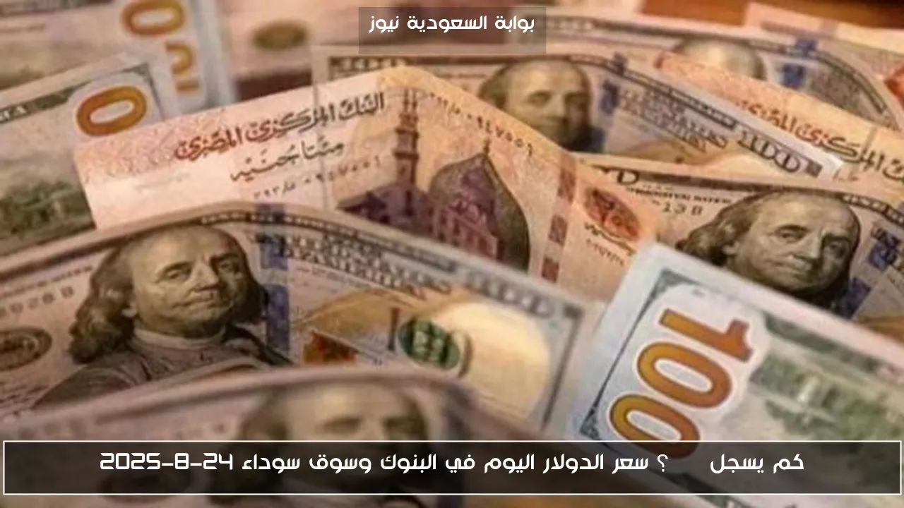 كم يسجل USD؟ سعر الدولار اليوم في البنوك وسوق سوداء 24-8-2025
