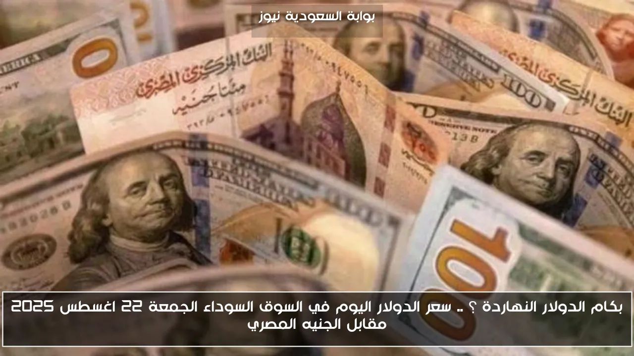 بكام الدولار النهاردة ؟ .. سعر الدولار اليوم في السوق السوداء الجمعة 22 اغسطس 2025 مقابل الجنيه المصري