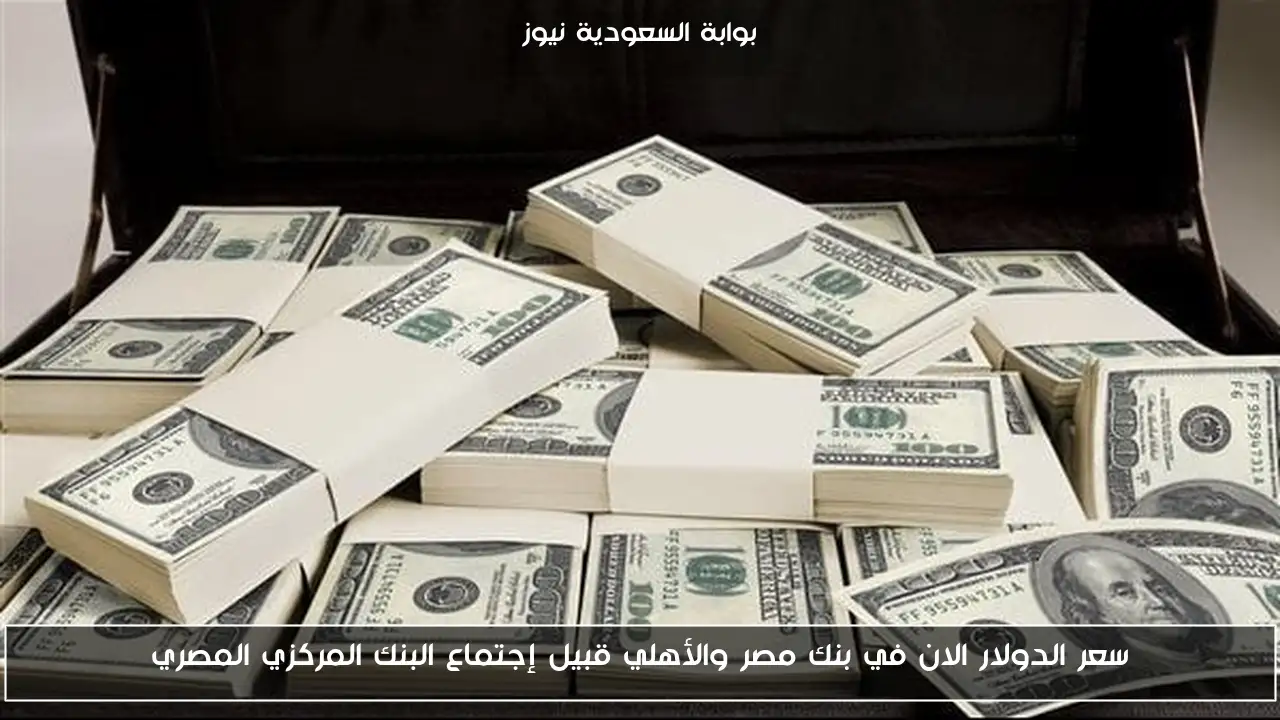 سعر الدولار الان في بنك مصر والأهلي قبيل إجتماع البنك المركزي المصري