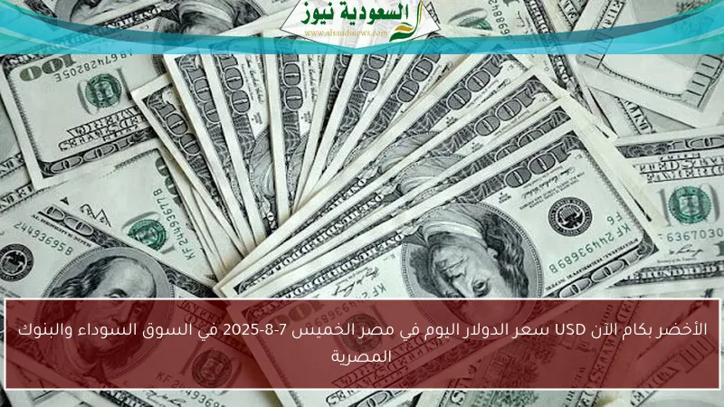 الأخضر بكام الآن USD سعر الدولار اليوم في مصر الخميس 7-8-2025 في السوق السوداء والبنوك المصرية