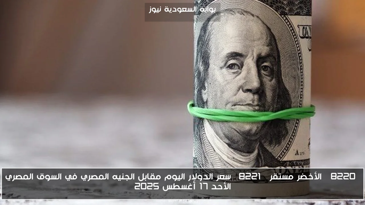 “الأخضر مستقر” سعر الدولار اليوم مقابل الجنيه المصري في السوق المصري الأحد 17 أغسطس 2025