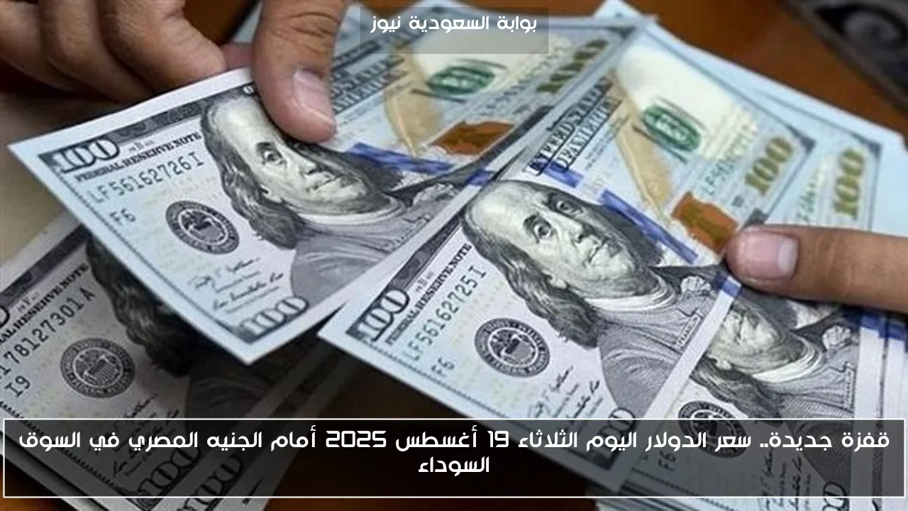 قفزة جديدة.. سعر الدولار اليوم الثلاثاء 19 أغسطس 2025 أمام الجنيه المصري في السوق السوداء