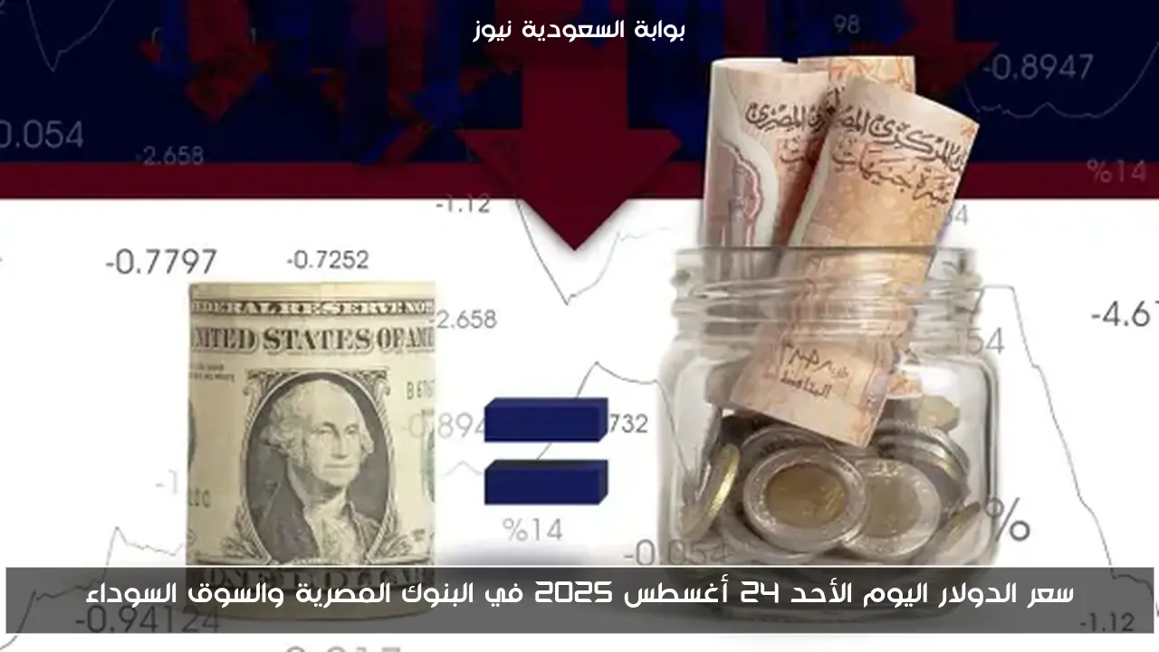 سعر الدولار اليوم الأحد 24 أغسطس 2025 في البنوك المصرية والسوق السوداء