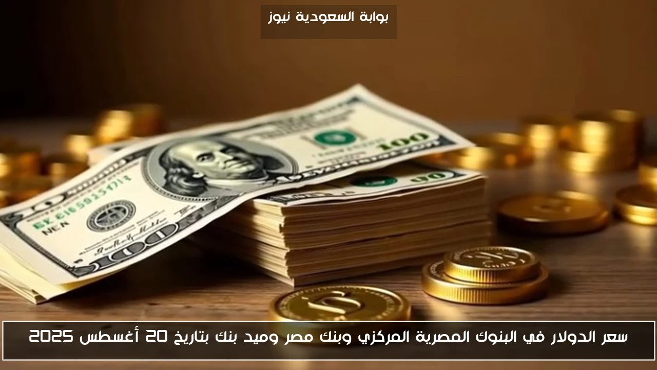 سعر الدولار في البنوك المصرية المركزي وبنك مصر وميد بنك بتاريخ 20 أغسطس 2025