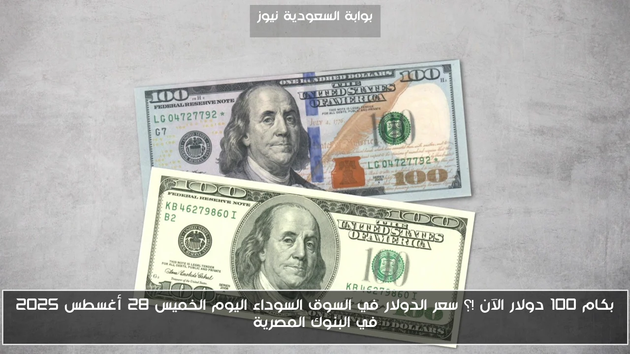 بكام 100 دولار الآن !؟ سعر الدولار في السوق السوداء اليوم الخميس 28 أغسطس 2025 في البنوك المصرية