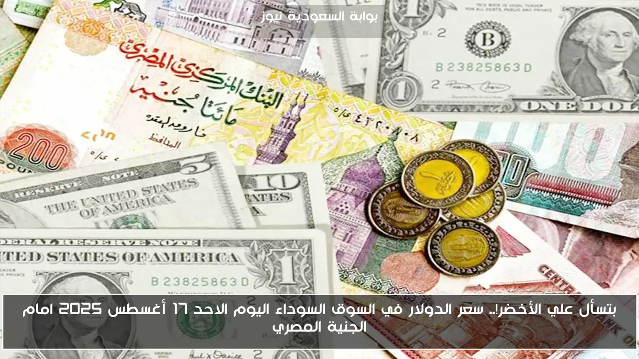 بتسأل علي الأخضر!.. سعر الدولار في السوق السوداء اليوم الاحد 17 أغسطس 2025 امام الجنية المصري