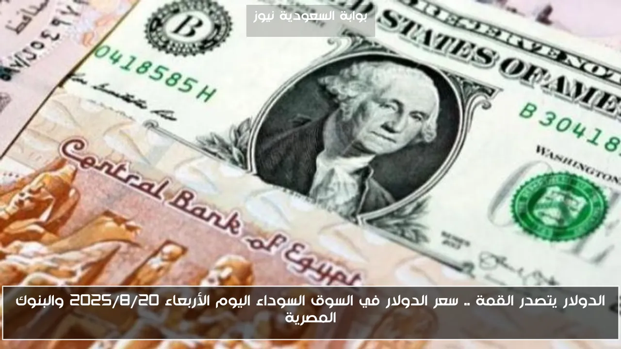 الدولار يتصدر القمة .. سعر الدولار في السوق السوداء اليوم الأربعاء 2025/8/20 والبنوك المصرية