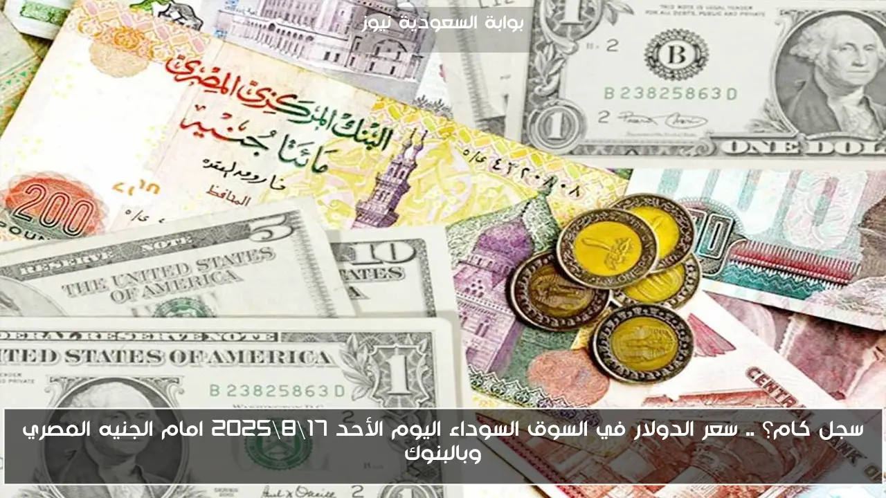 سجل كام؟ .. سعر الدولار في السوق السوداء اليوم الأحد 17\8\2025 امام الجنيه المصري وبالبنوك