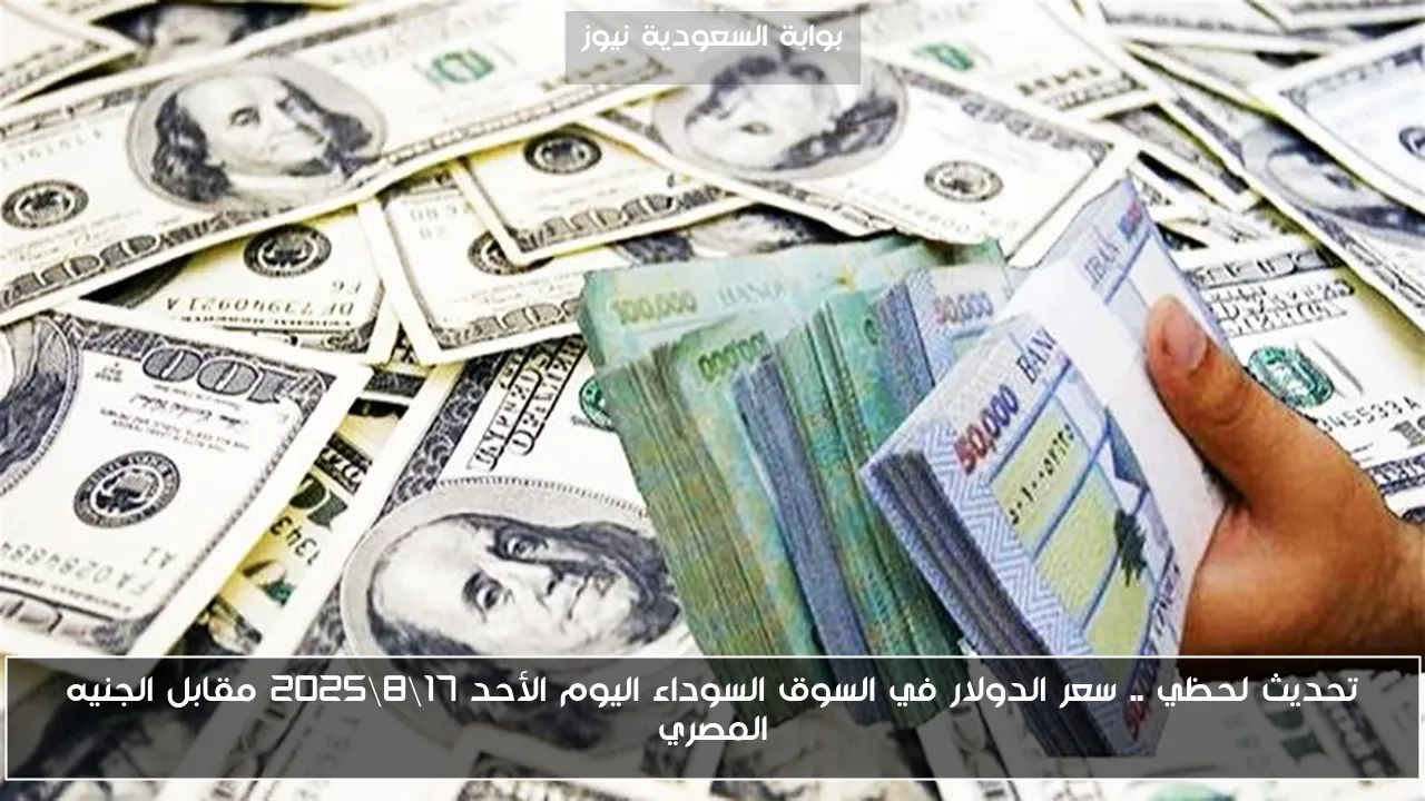 تحديث لحظي .. سعر الدولار في السوق السوداء اليوم الأحد 17\8\2025 مقابل الجنيه المصري
