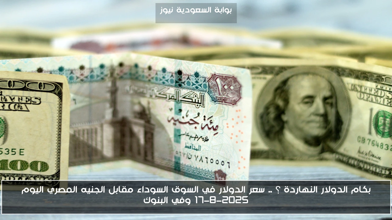 بكام الدولار النهاردة ؟ .. سعر الدولار في السوق السوداء مقابل الجنيه المصري اليوم 17-8-2025 وفي البنوك