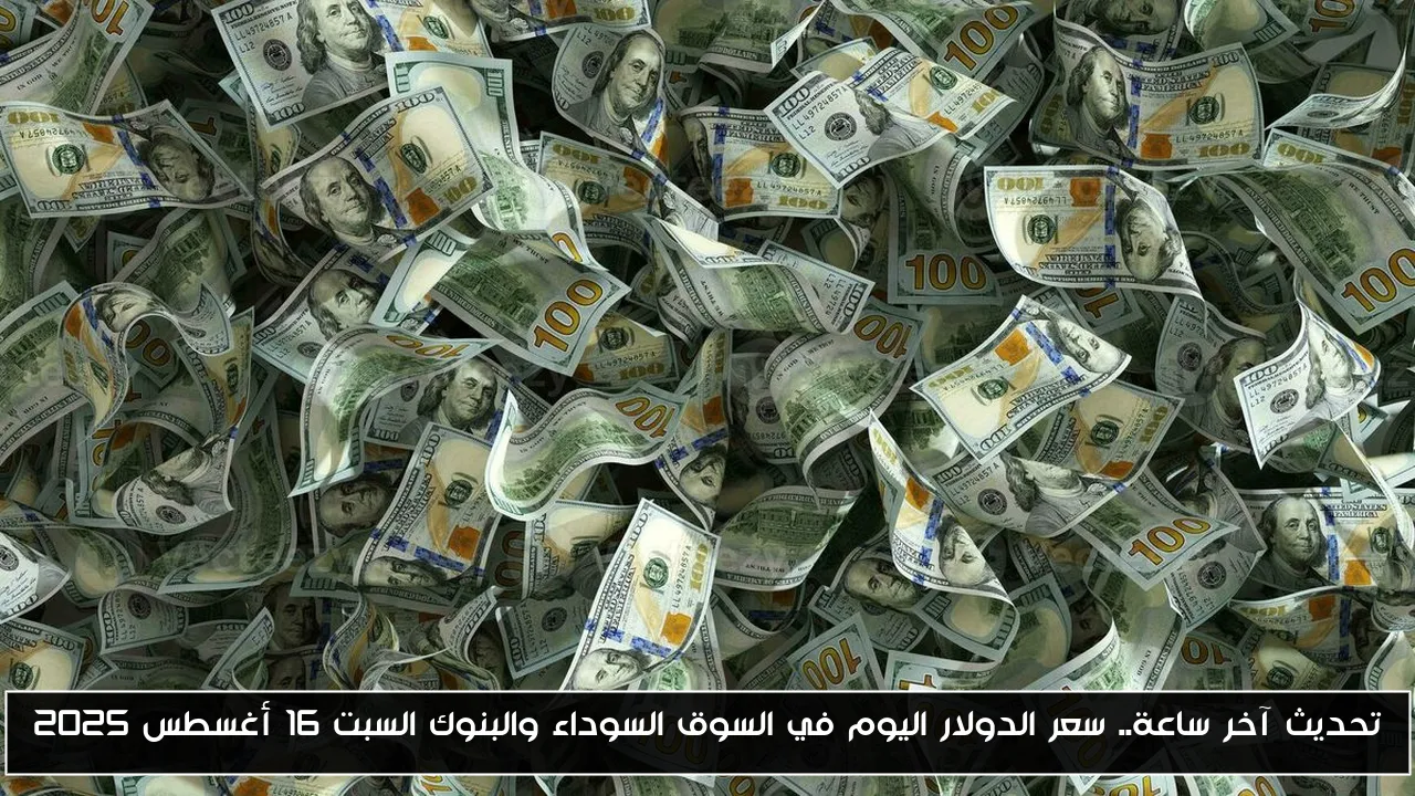 تحديث آخر ساعة.. سعر الدولار اليوم في السوق السوداء والبنوك السبت 16 أغسطس 2025