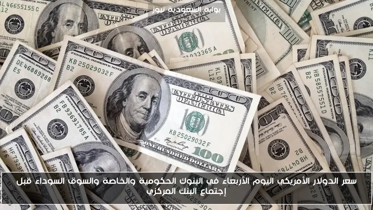 سعر الدولار الأمريكي اليوم الأربعاء في البنوك الحكومية والخاصة والسوق السوداء قبل إجتماع البنك المركزي