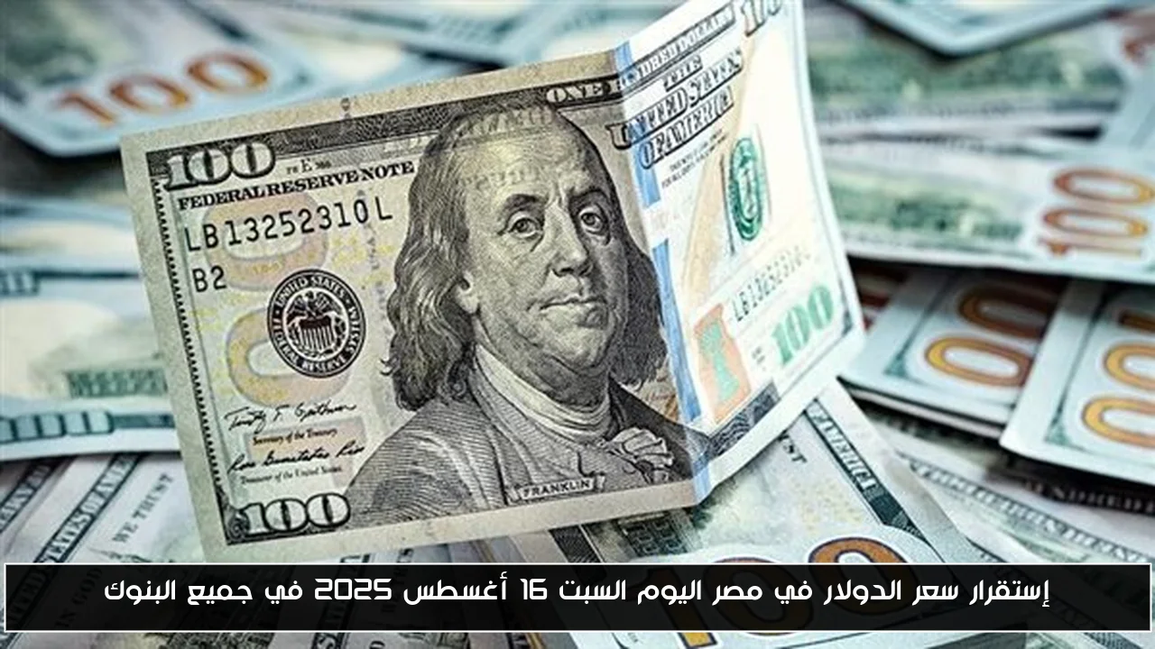 إستقرار سعر الدولار في مصر اليوم السبت 16 أغسطس 2025 في جميع البنوك
