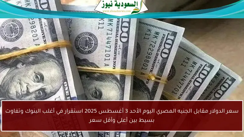 سعر الدولار مقابل الجنيه المصري اليوم الأحد 3 أغسطس 2025 استقرار في أغلب البنوك وتفاوت بسيط بين أعلى وأقل سعر