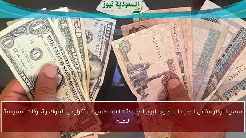 سعر الدولار مقابل الجنيه المصري اليوم الجمعة 1 أغسطس استقرار في البنوك وتحركات أسبوعية لافتة