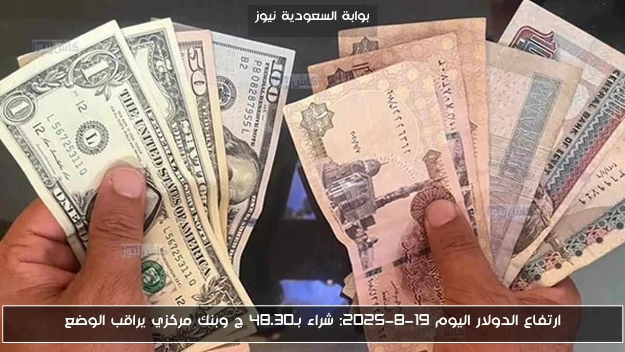 ارتفاع الدولار اليوم 19-8-2025: شراء بـ48.30 ج وبنك مركزي يراقب الوضع