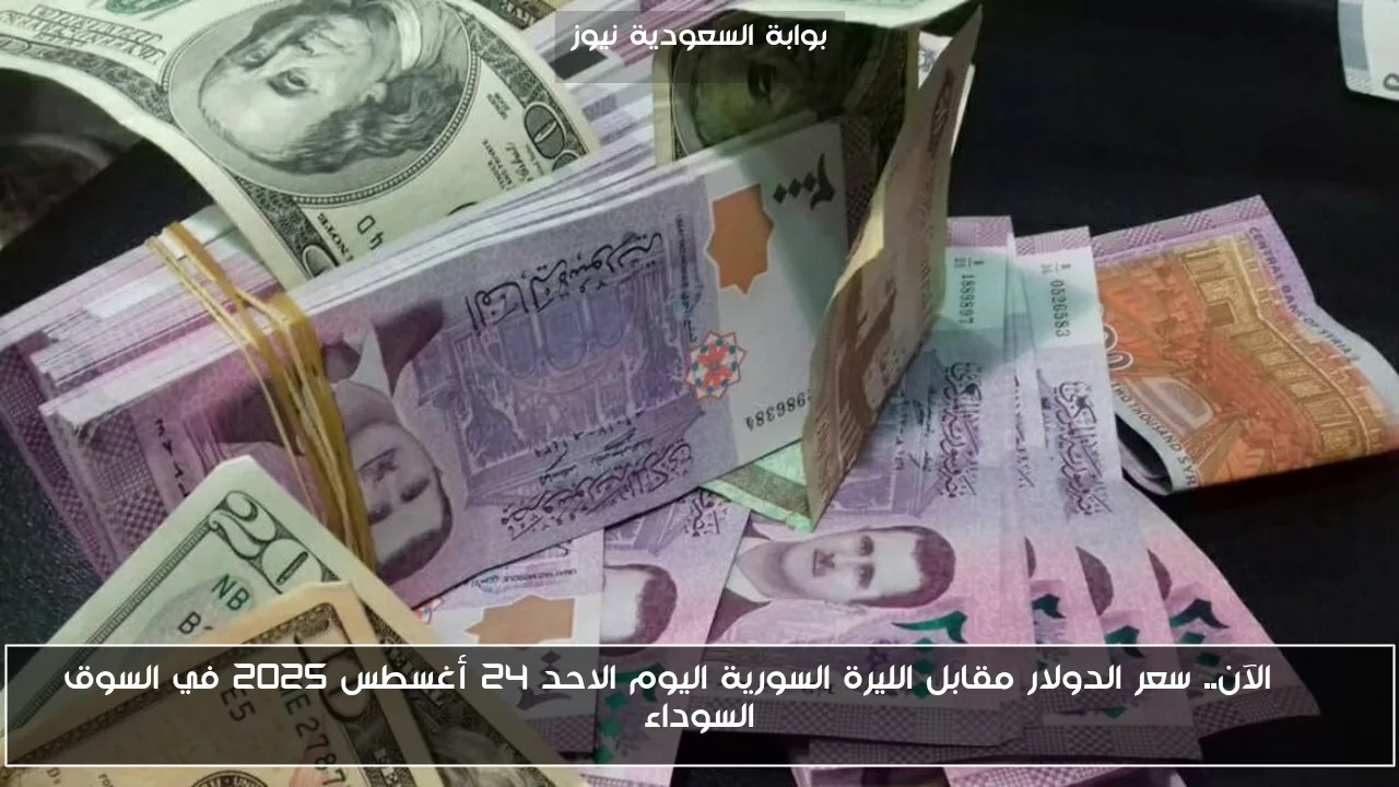 USD الآن.. سعر الدولار مقابل الليرة السورية اليوم الاحد 24 أغسطس 2025 في السوق السوداء