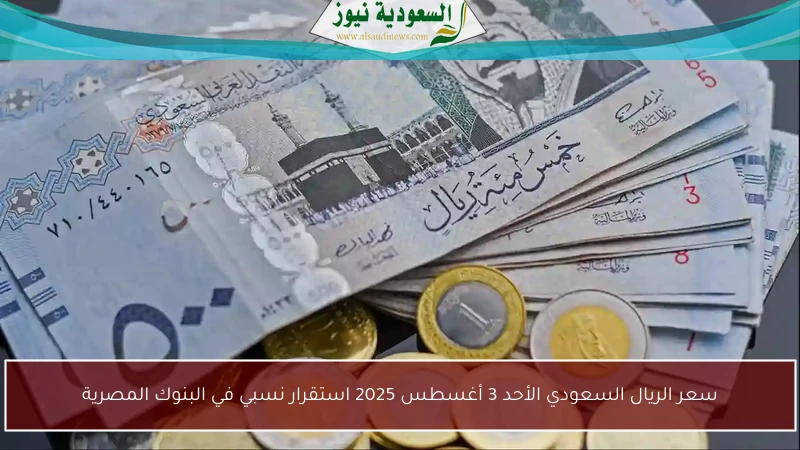 سعر الريال السعودي الأحد 3 أغسطس 2025 استقرار نسبي في البنوك المصرية