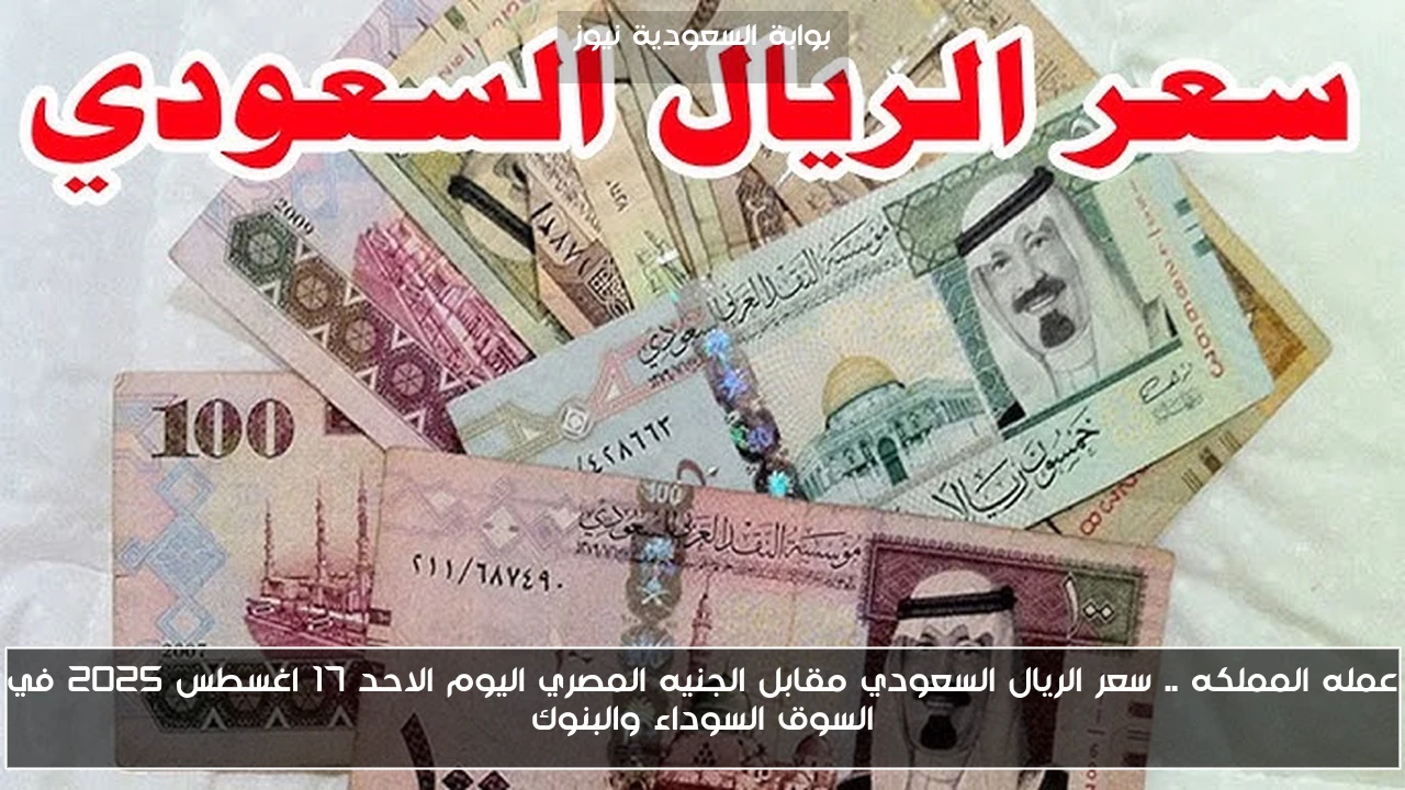 عمله المملكه .. سعر الريال السعودي مقابل الجنيه المصري اليوم الاحد 17 اغسطس 2025 في السوق السوداء والبنوك