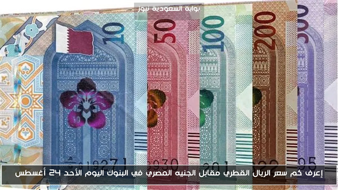 إعرف كم سعر الريال القطري مقابل الجنيه المصري في البنوك اليوم الأحد 24 أغسطس