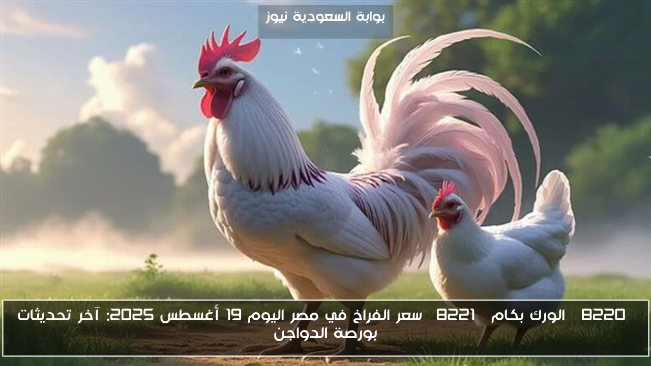 “الورك بكام” سعر الفراخ في مصر اليوم 19 أغسطس 2025: آخر تحديثات بورصة الدواجن