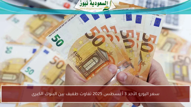 سعر اليورو الأحد 3 أغسطس 2025 تفاوت طفيف بين البنوك الكبرى