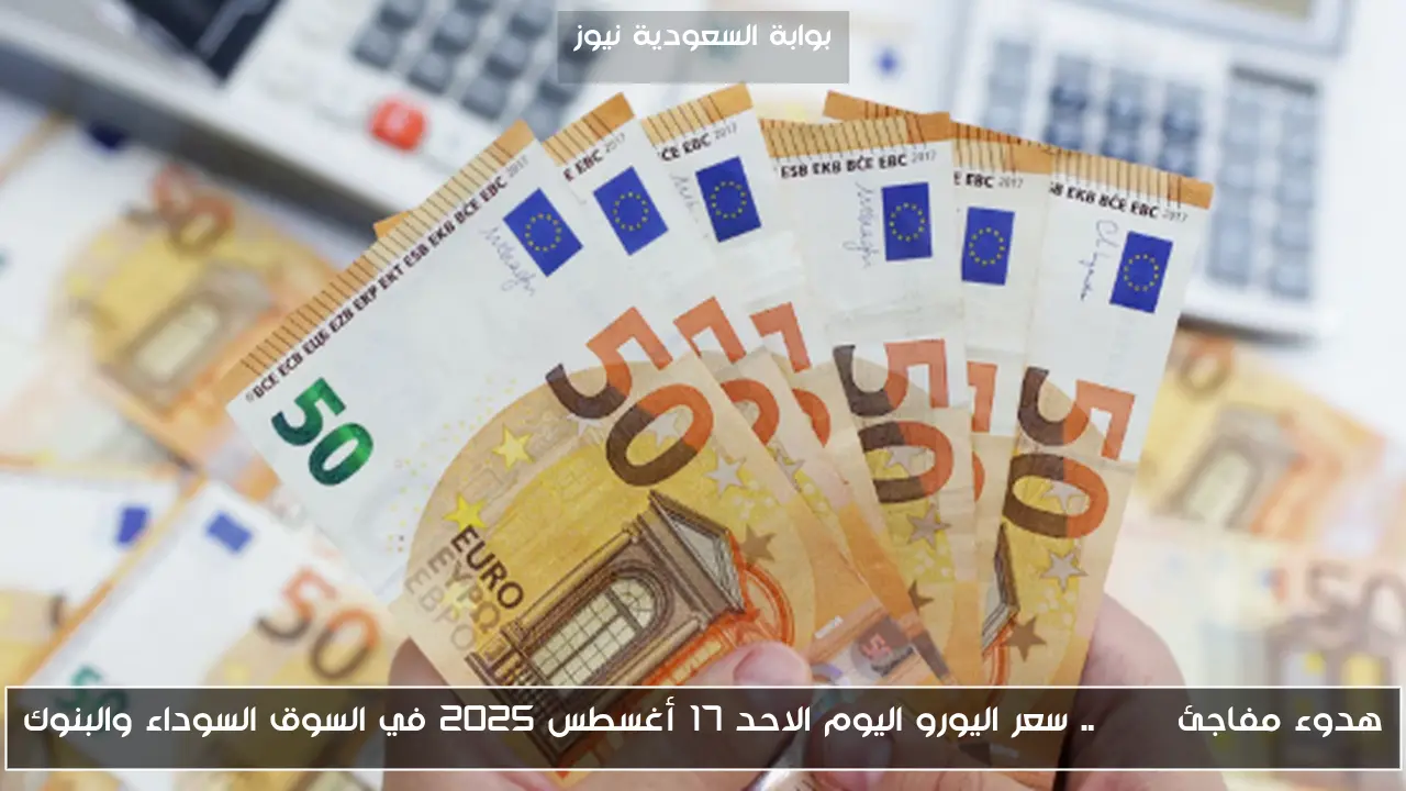 هدوء مفاجئ euro.. سعر اليورو اليوم الاحد 17 أغسطس 2025 في السوق السوداء والبنوك