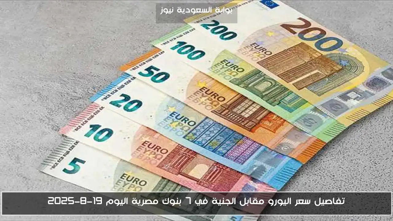 تفاصيل سعر اليورو مقابل الجنية في 7 بنوك مصرية اليوم 19-8-2025