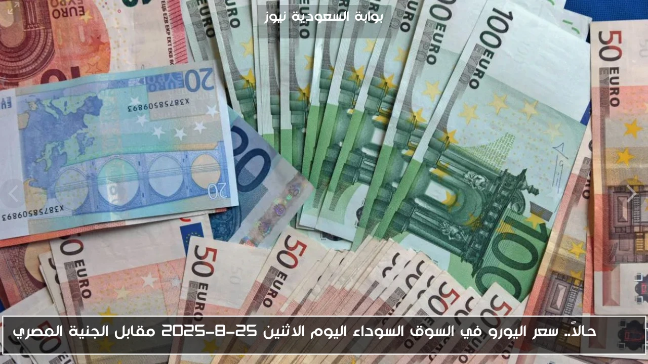 Euro حالاً.. سعر اليورو في السوق السوداء اليوم الاثنين 25-8-2025 مقابل الجنية المصري