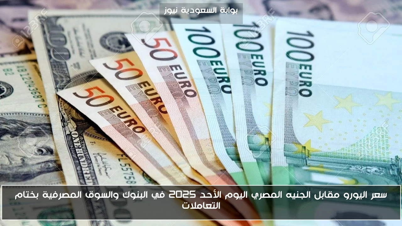 سعر اليورو مقابل الجنيه المصري اليوم الأحد 2025 في البنوك والسوق المصرفية بختام التعاملات