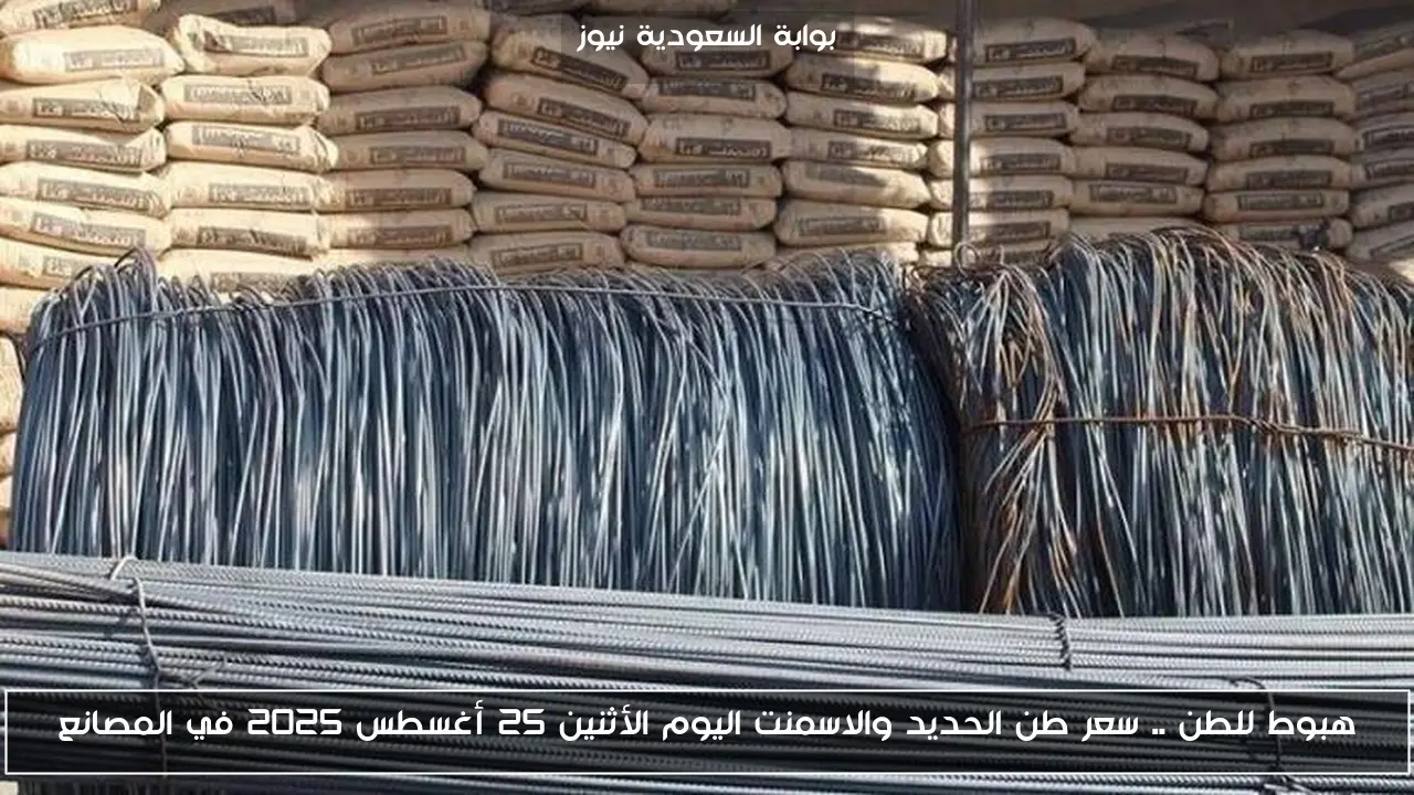 هبوط للطن .. سعر طن الحديد والاسمنت اليوم الأثنين 25 أغسطس 2025 في المصانع