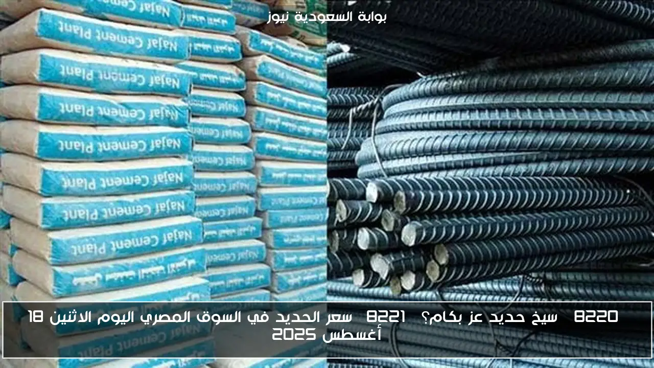 “سيخ حديد عز بكام؟” سعر الحديد في السوق المصري اليوم الاثنين 18 أغسطس 2025