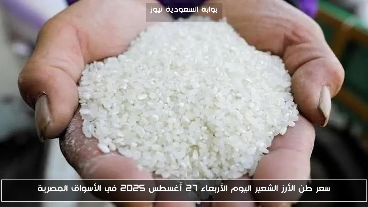 سعر طن الأرز الشعير اليوم الأربعاء 27 أغسطس 2025 في الأسواق المصرية