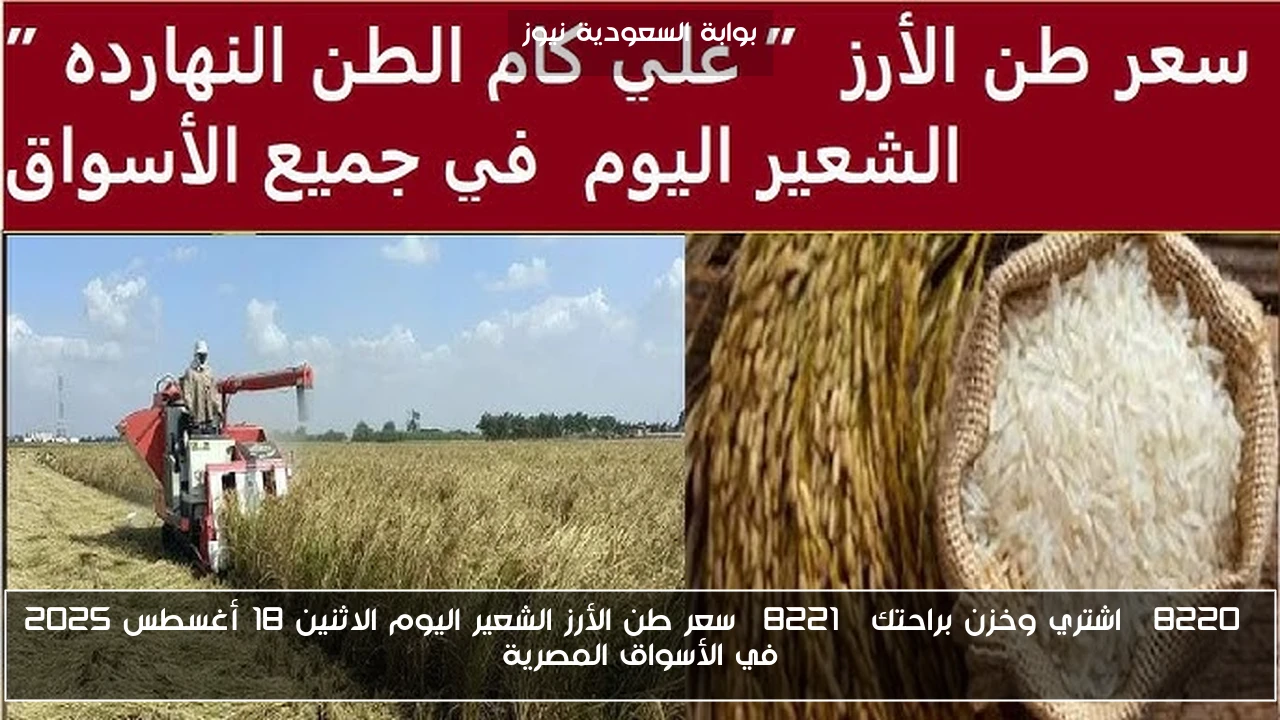 “اشتري وخزن براحتك” سعر طن الأرز الشعير اليوم الاثنين 18 أغسطس 2025 في الأسواق المصرية