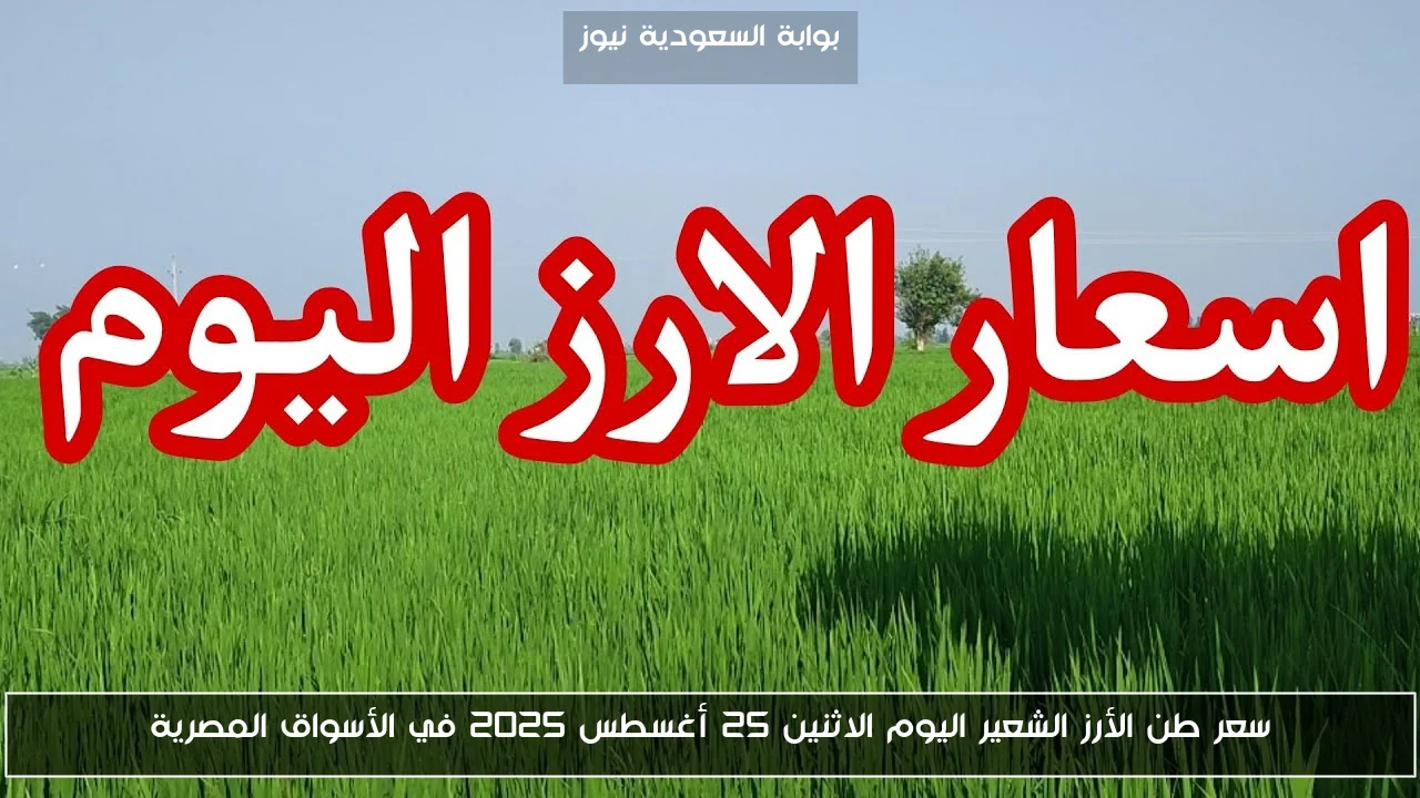 سعر طن الأرز الشعير اليوم الاثنين 25 أغسطس 2025 في الأسواق المصرية